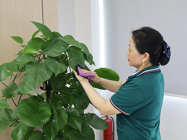 你真的了解保潔嗎？