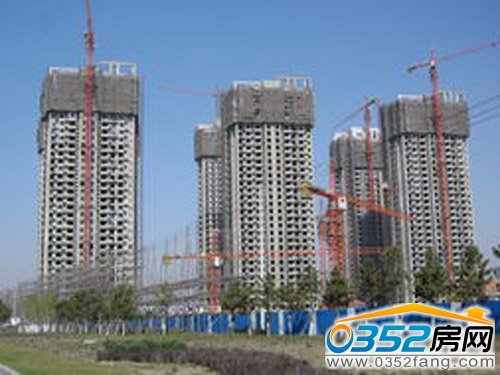 �������ڽ��O�ĘǱP