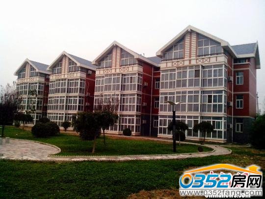 網友稱這處位于臺前縣政府后院的縣領導“官邸”“高端大氣上檔次”。