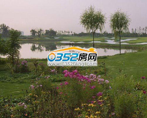 清河灣高爾夫球場美景