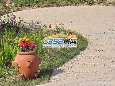 周邊環(huán)境鳥語花香