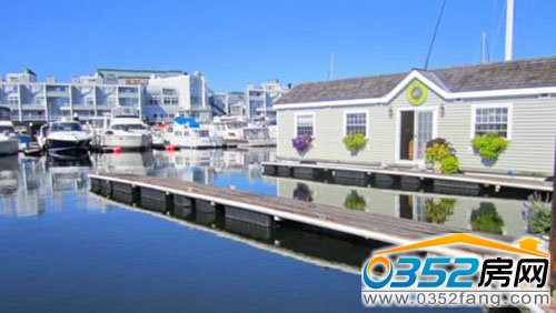 馬薩諸塞州波士頓:綠海龜浮動(dòng)游艇