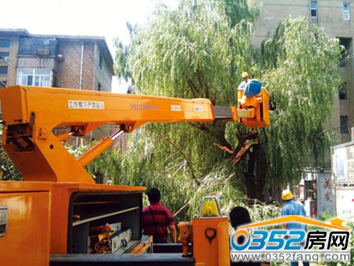 南關(guān)住宅小區(qū)柳樹(shù)刮倒引發(fā)斷電 供電部門全力排除險(xiǎn)情