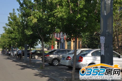 很多市民前來踩點