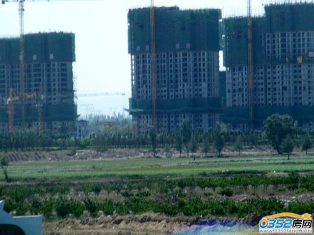 ӭ�e�P����ʩ�������D