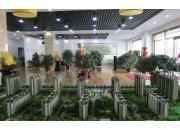 �ͅR��Ȫ��ɳ�P�����D