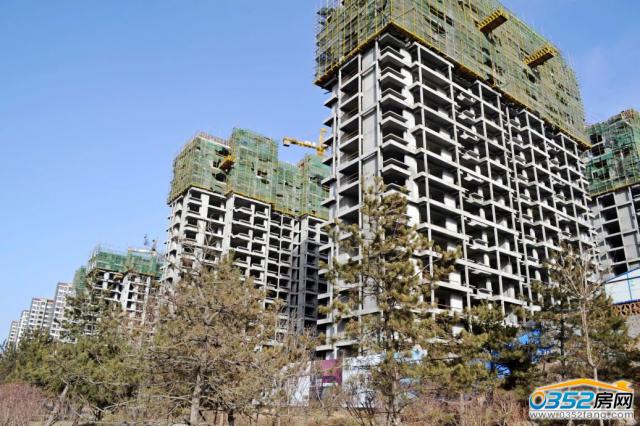 �A���ǳ�12.31סլ�����D