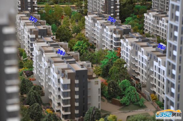 �A���ǳ�35-38#��ɳ�P�D