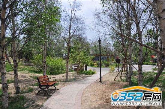 售樓處就隱藏在這一片綠色中