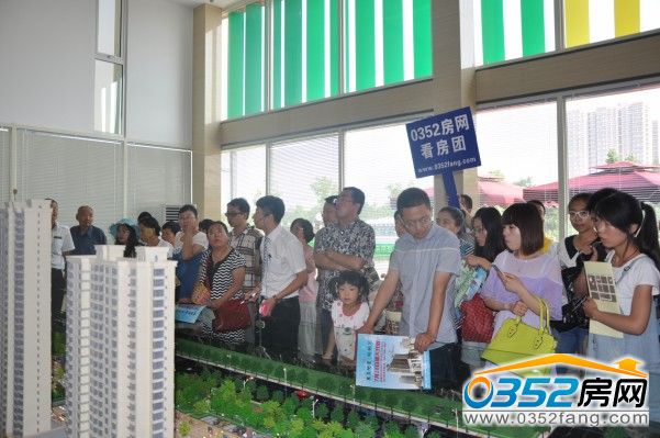 0352WW ͩԷØIBɳP