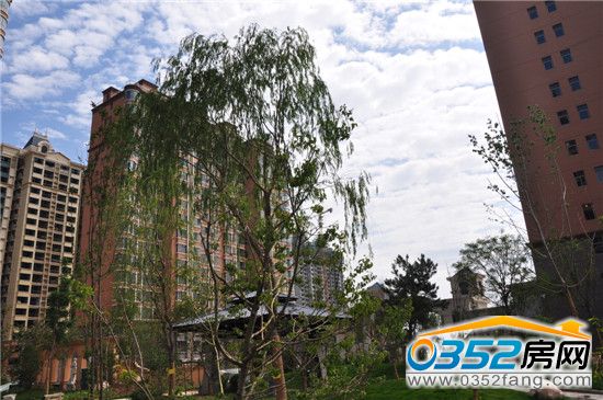 千禧御東畫(huà)卷小區(qū)綠化實(shí)景圖