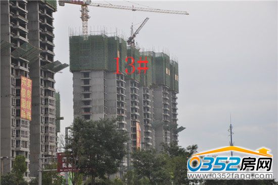 東信國際建材家居廣場13號(hào)樓