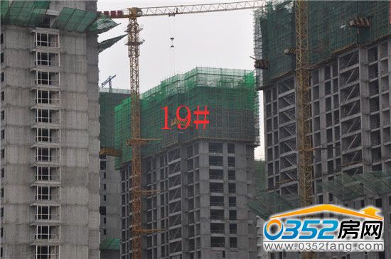 東信國際建材家居廣場19號(hào)樓
