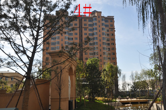 ǧ|Է4̖ǌD
