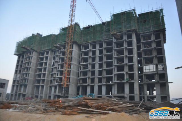 ˮӞ8̖ǽ12(2014.11.25)