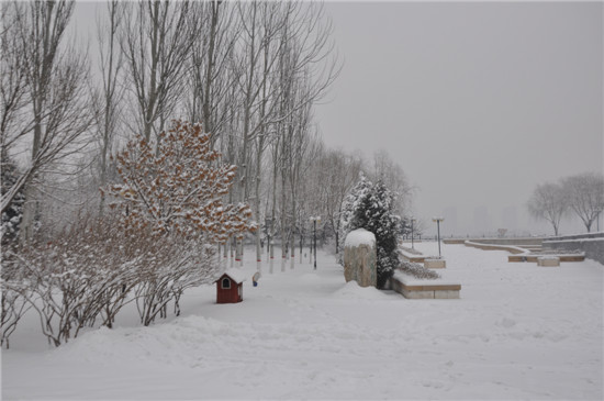 ��ˮ���҂�-���B�@ѩ��