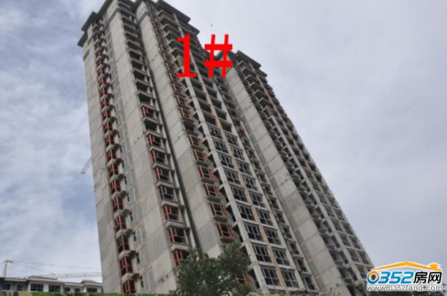 8.18ͅRٺϞ1̖ǹMȌD