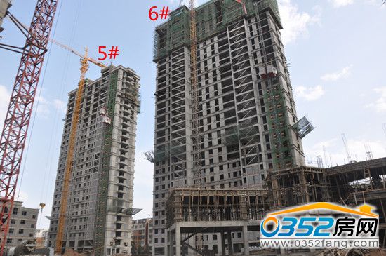 梧桐苑工程進度實景圖5#、6#