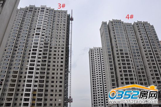 2316082652bff8c4bd9558.jpg 3.4#.jpg