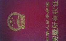 @С^ ̖ʳ31d1l 100O