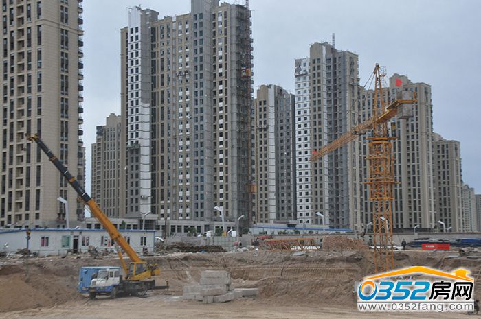 24154845f9a916061c9687.jpg 11號路樁間土.JPG