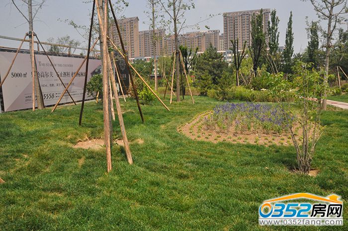 07163351ac8bec36f48860.jpg 綠色.jpg