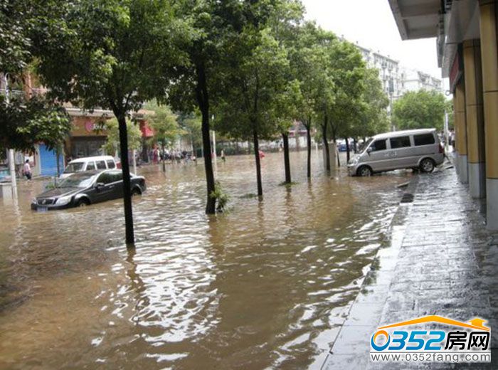 161558195ac3ae115d9268.jpg 洪澇下車無法上路.jpg