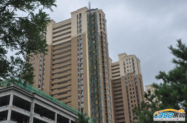 好旺角部分樓棟實景圖