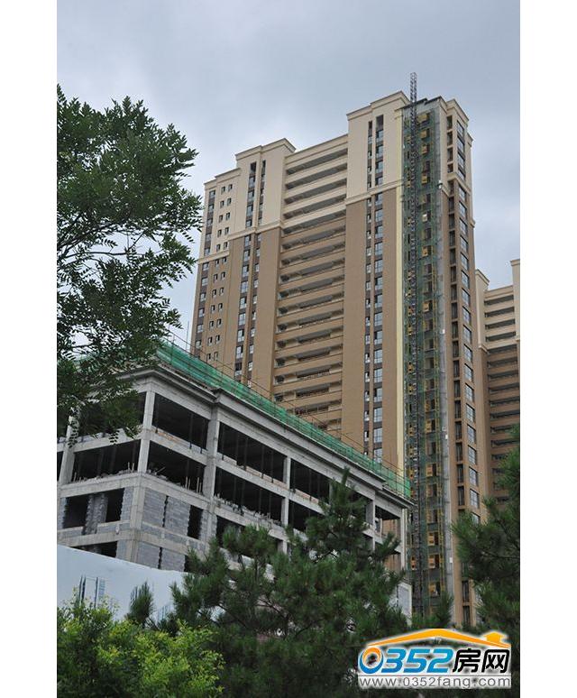 好旺角部分樓棟實景圖