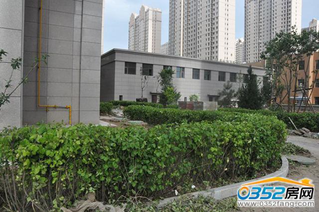 小區綠化2016.7.22