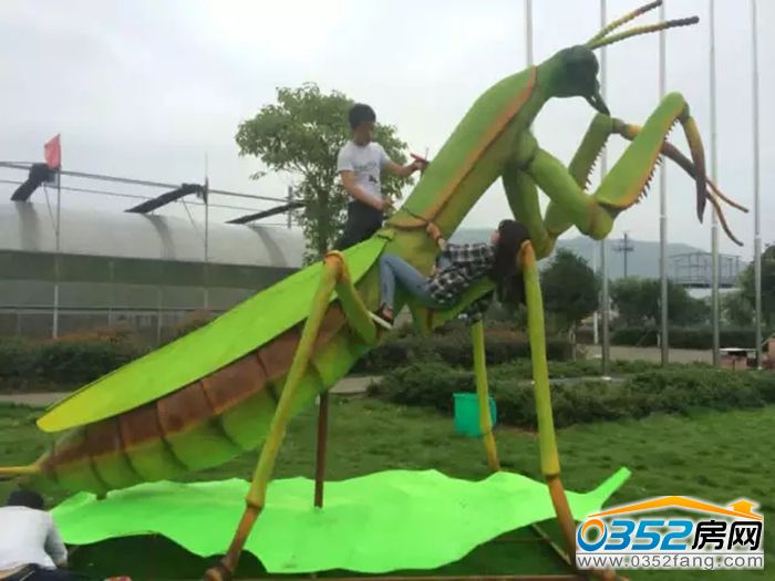 28152647062af0db226338.jpg 640.webp (7).jpg