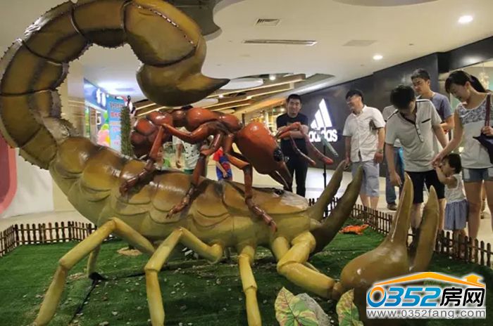 2815271969b17300560619.jpg 640.webp (5).jpg