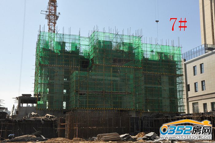 11175032f5e64402906282.jpg DSC_0032.jpg