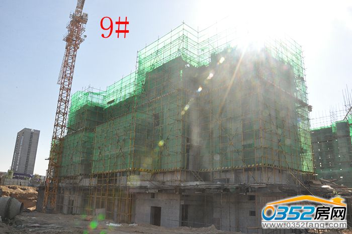 1117504038f6e082e01411.jpg DSC_0033.jpg