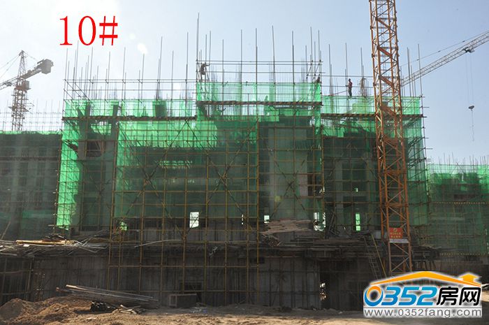 11175059326df688c52955.jpg DSC_0006.jpg