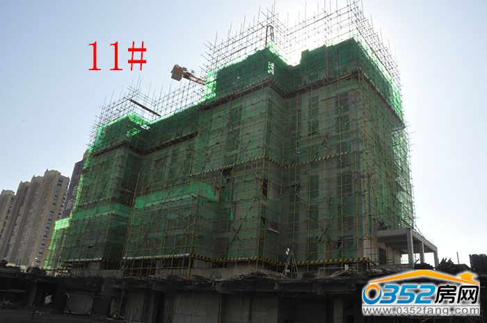 111751070c260817cd5842.jpg DSC_0016.jpg