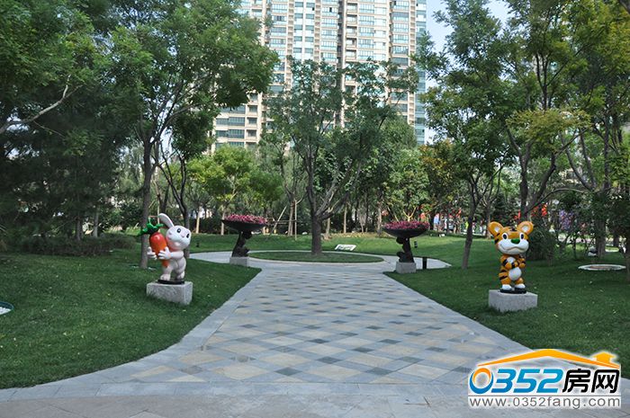 14174357b4c44acef31432.jpg DSC_0123.JPG