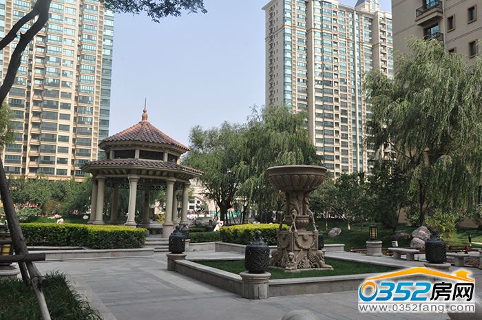 141745107733991d875966.jpg DSC_0128.JPG