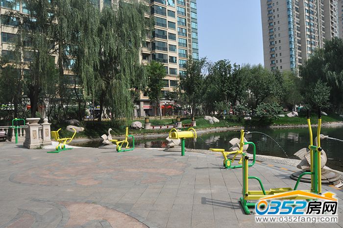 141746250dd3d2fe595466.jpg DSC_0136.JPG