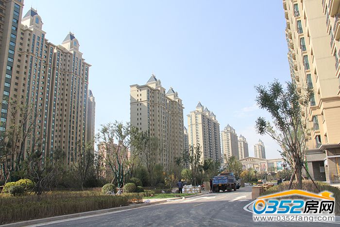 1417480319aa437e541108.jpg IMG_0810.JPG