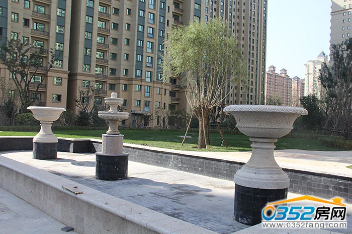 141749484450dc8e563112.jpg IMG_0814.JPG