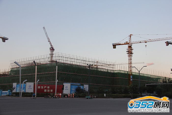 141750175c70584b311351.jpg IMG_0755.JPG