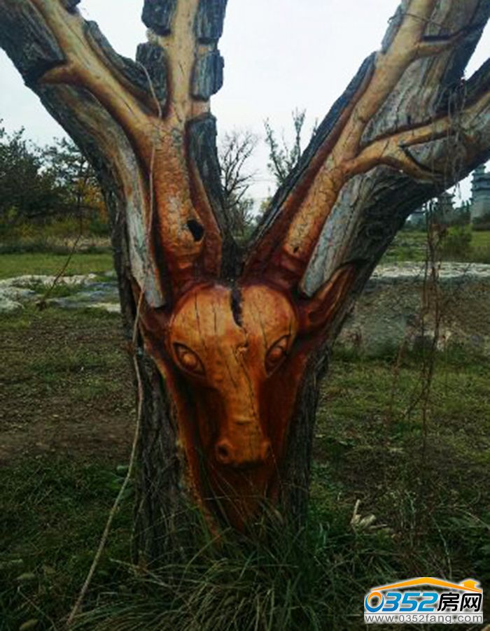 31163651f8d07164e65850.jpg 6e80bf8fa0ec08fa054a287851ee3d6d54fbda2e.jpg