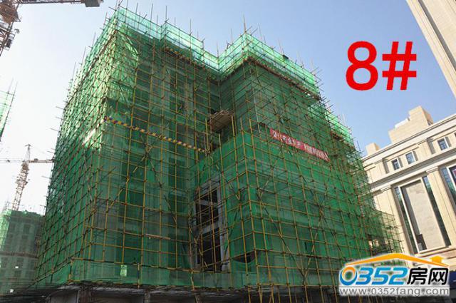 8̖��11��12�չ����M��