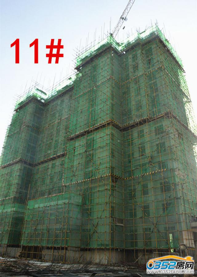 11̖��11��12�չ����M��