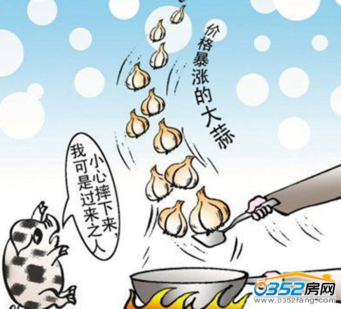 171448074c0b235cbe1465.jpg 2.jpg