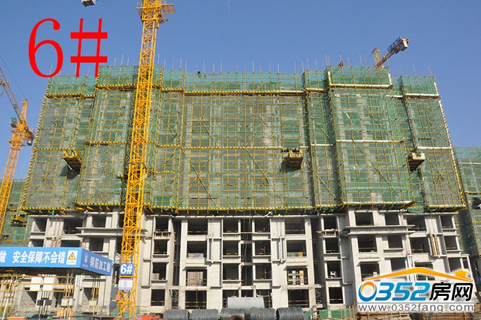 231632352f283175349612.jpg 6.JPG