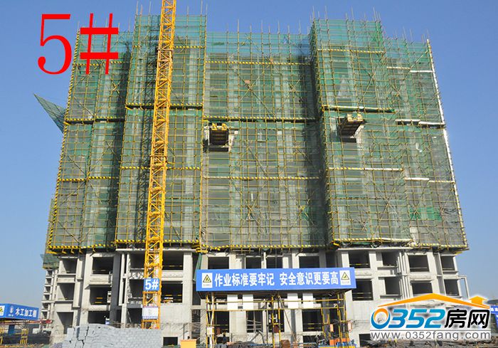 231632451a7e8d73df3275.jpg 5.JPG