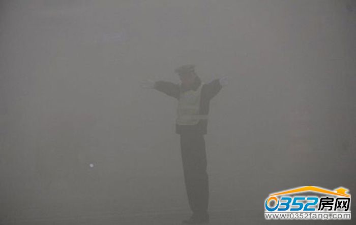 20115319d08fd136391675.jpg 20655260.jpg