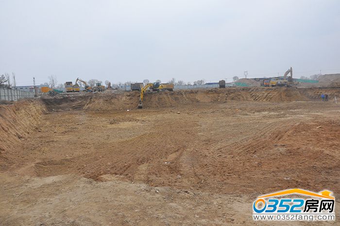 2317014666c9ec90d81318.jpg DSC_0002.JPG